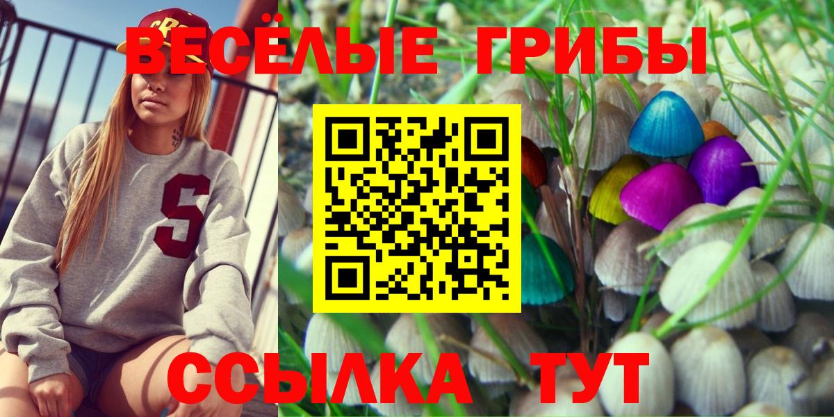 Псилоцибиновые грибы ЛСД Железноводск