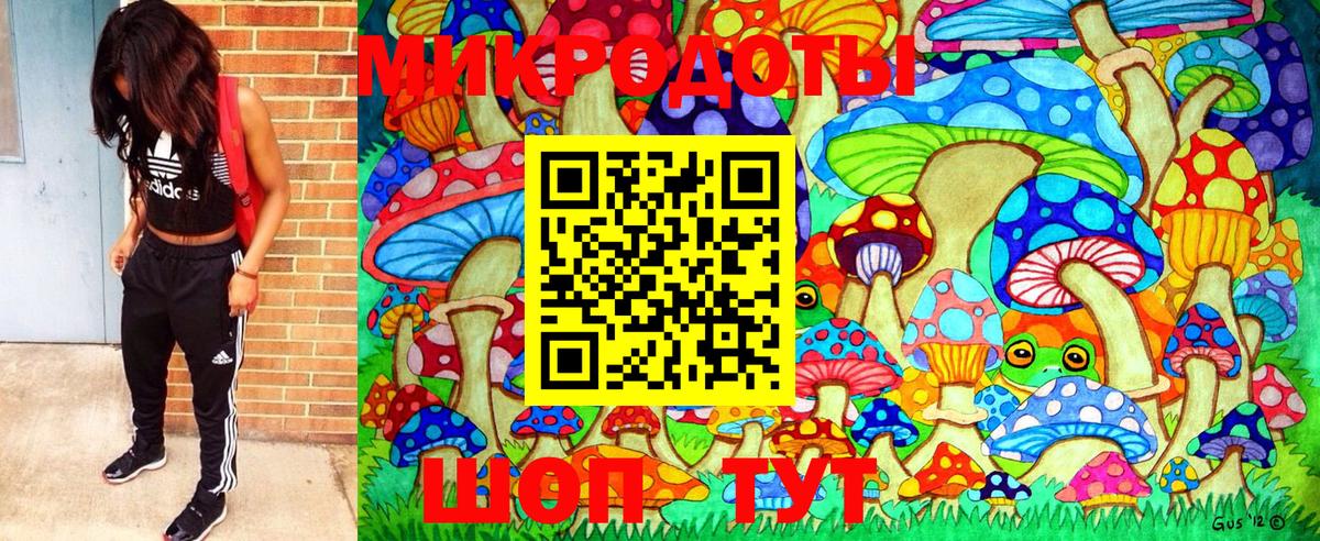 Псилоцибиновые грибы Psilocybine cubensis  Вход с VPN  Железноводск  Псилоцибиновые грибы мухоморы 